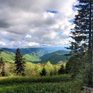 This North Carolina Mountain Road Climbs Above 6,000 Feet Until the Clouds Feel Close Enough to Touch