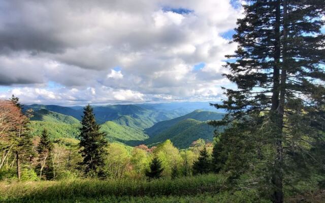 This North Carolina Mountain Road Climbs Above 6,000 Feet Until the Clouds Feel Close Enough to Touch