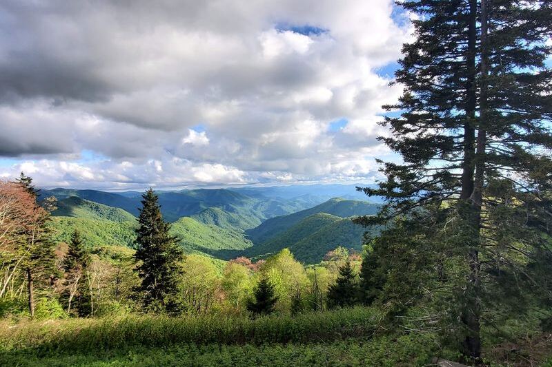 This North Carolina Mountain Road Climbs Above 6,000 Feet Until the Clouds Feel Close Enough to Touch