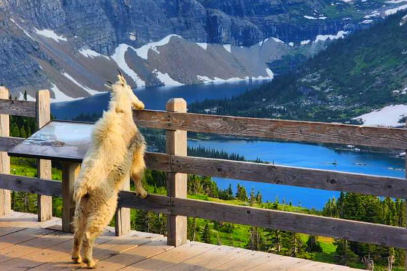 13 Montana Trails Under 3 Miles With Huge Payoffs