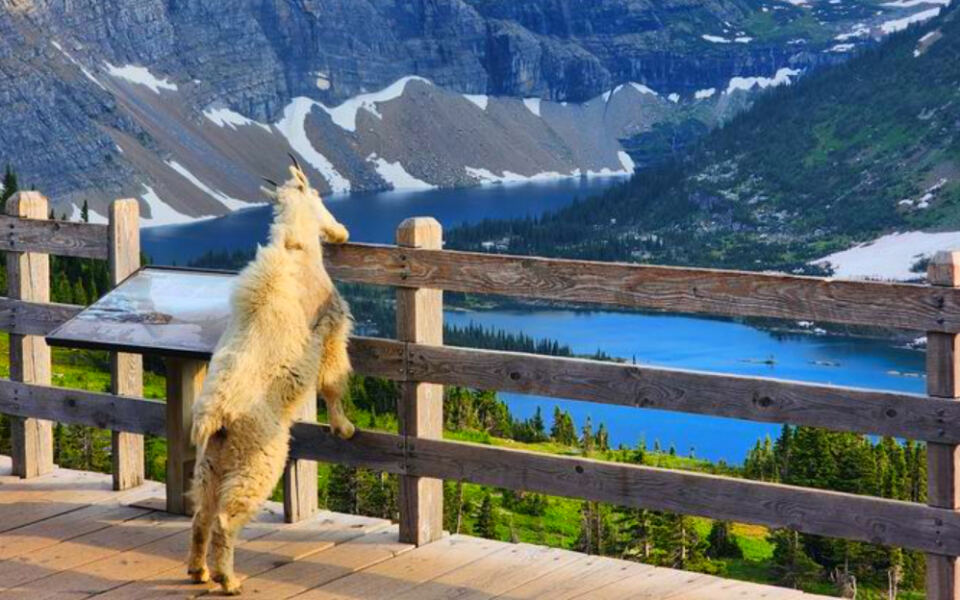 13 Montana Trails Under 3 Miles With Huge Payoffs