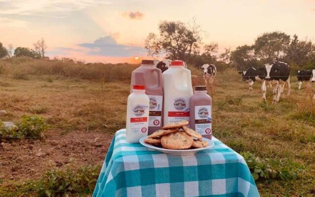 This Tennessee Family Dairy Near Knoxville Is Where Locals Stock Up on Fresh Milk Every Saturday
