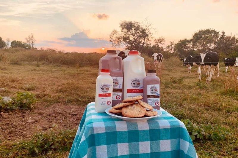 This Tennessee Family Dairy Near Knoxville Is Where Locals Stock Up on Fresh Milk Every Saturday