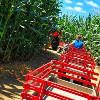 This Lancaster County Farm Has Giant Corn Mazes, Barnyard Animals, and Family Fun All Season Long