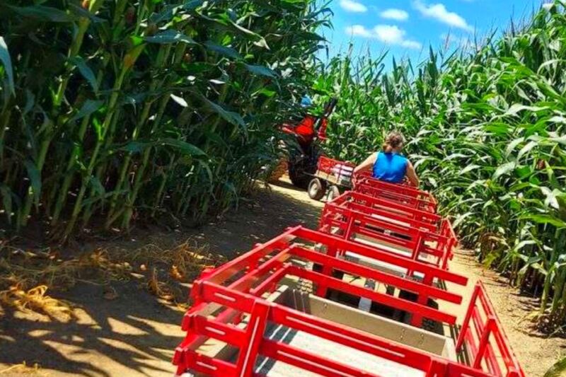 This Lancaster County Farm Has Giant Corn Mazes, Barnyard Animals, and Family Fun All Season Long
