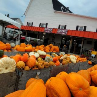 This Michigan Cider Mill Turns a Fall Tradition Into a Full-Day Country Escape