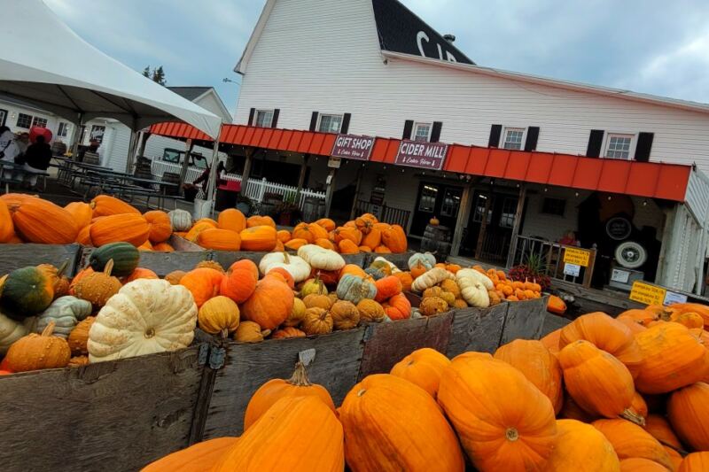 This Michigan Cider Mill Turns a Fall Tradition Into a Full-Day Country Escape