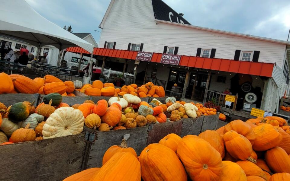 This Michigan Cider Mill Turns a Fall Tradition Into a Full-Day Country Escape