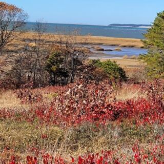 12 Gentle Massachusetts Nature Walks That Deliver Fall Color Without a Hard Climb