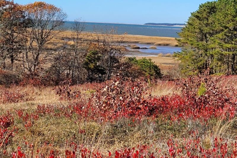 12 Gentle Massachusetts Nature Walks That Deliver Fall Color Without a Hard Climb