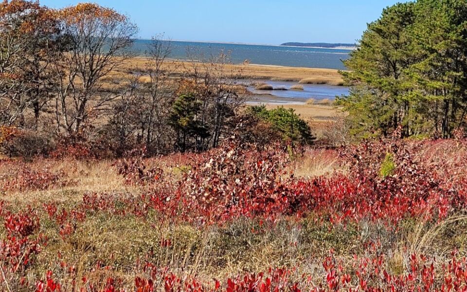 12 Gentle Massachusetts Nature Walks That Deliver Fall Color Without a Hard Climb
