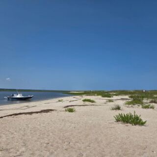 These 8 North Carolina Beaches Leave Shell Hunters With Pockets Full of Treasure
