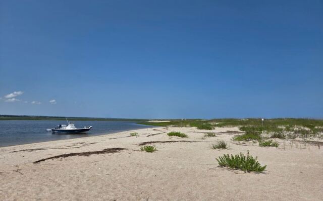 These 8 North Carolina Beaches Leave Shell Hunters With Pockets Full of Treasure