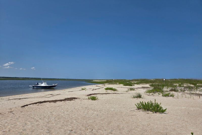 These 8 North Carolina Beaches Leave Shell Hunters With Pockets Full of Treasure