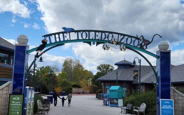 Families Line Up At This Toledo Zoo Just To Watch Hippos Glide Past An Underwater Window