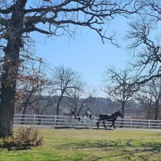 This Sapulpa Carriage Company Takes You on a Scenic Horse-Drawn Ride Close to Home in Oklahoma