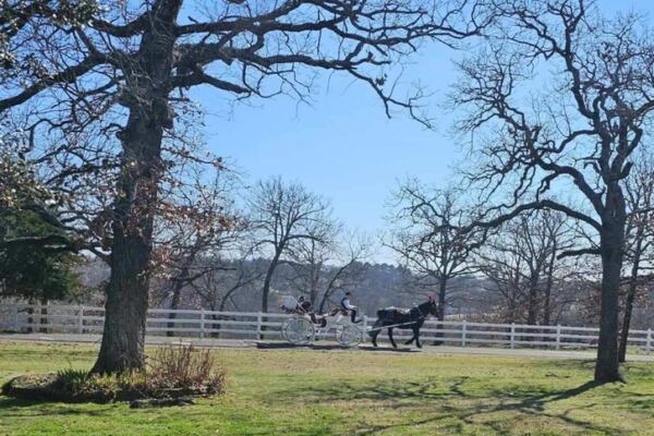 This Sapulpa Carriage Company Takes You on a Scenic Horse-Drawn Ride Close to Home in Oklahoma