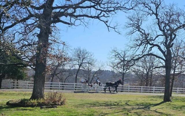 This Sapulpa Carriage Company Takes You on a Scenic Horse-Drawn Ride Close to Home in Oklahoma