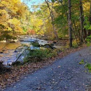 12 Easy New Jersey Trails For People Who Want Fall Views Without A Grind