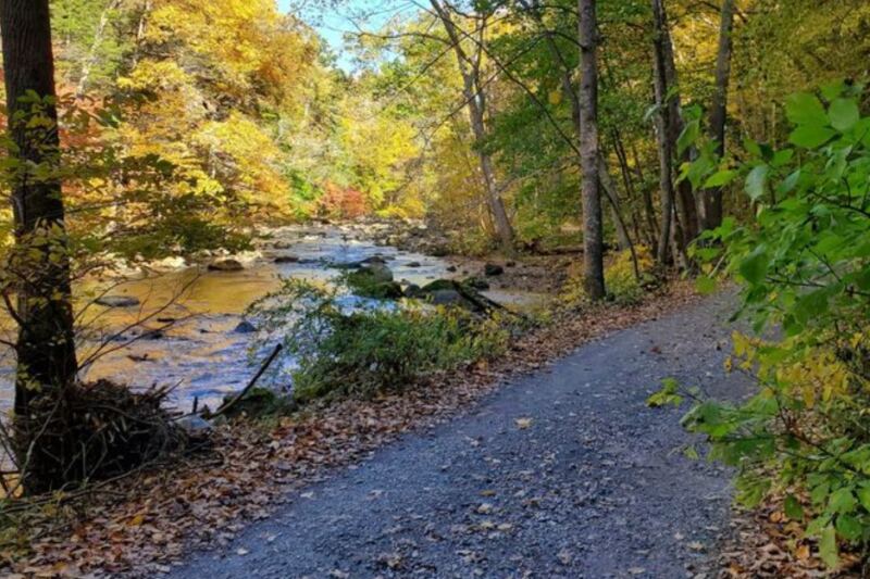 12 Easy New Jersey Trails For People Who Want Fall Views Without A Grind