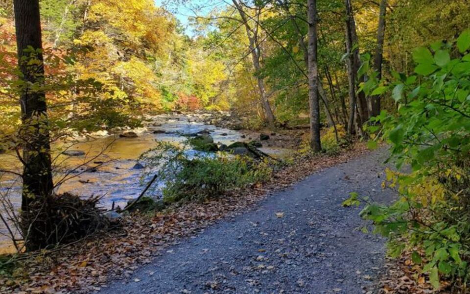 12 Easy New Jersey Trails For People Who Want Fall Views Without A Grind