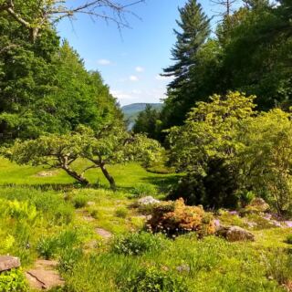 This Quiet Wildlife Refuge in Newbury, New Hampshire, Offers Peaceful Trails and Incredible Birdwatching