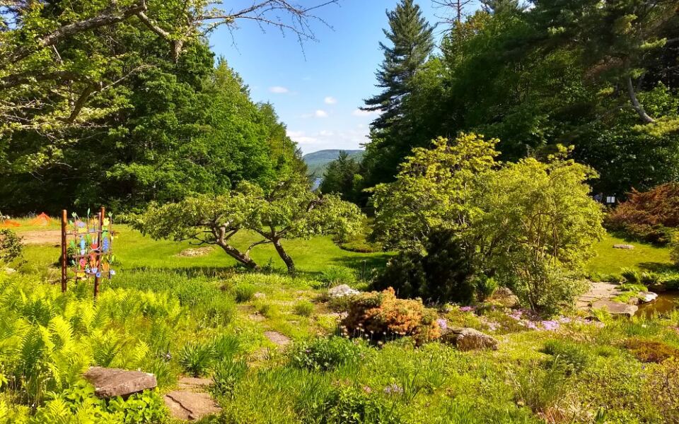 This Quiet Wildlife Refuge in Newbury, New Hampshire, Offers Peaceful Trails and Incredible Birdwatching