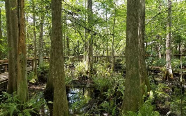 This Florida Wildlife Sanctuary Rehabs Over 4,500 Injured Animals a Year and Lets You Visit for Free