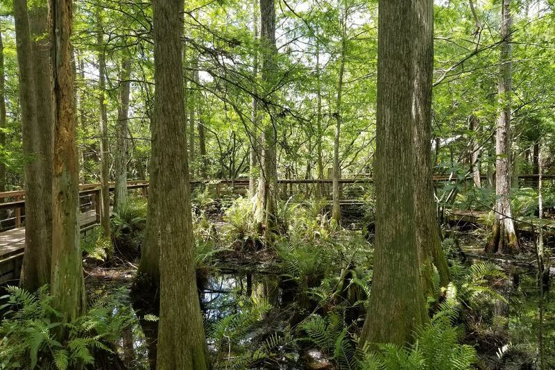 This Florida Wildlife Sanctuary Rehabs Over 4,500 Injured Animals a Year and Lets You Visit for Free