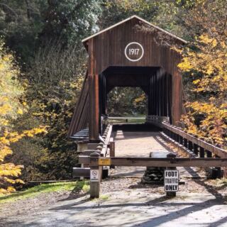 Seven Oregon Covered Bridges That Turn a Backroads Drive Into a Slow History Lesson