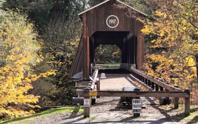 Seven Oregon Covered Bridges That Turn a Backroads Drive Into a Slow History Lesson