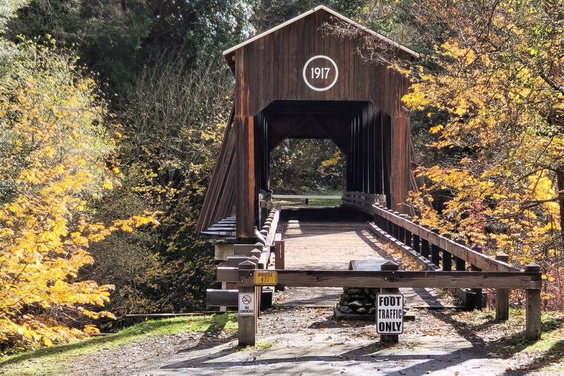Seven Oregon Covered Bridges That Turn a Backroads Drive Into a Slow History Lesson