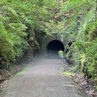 This Old Illinois Railroad Is Now A Trail Through A Cool Tunnel, Forested Hills, And Wetlands