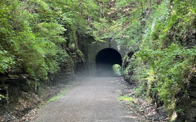 This Old Illinois Railroad Is Now A Trail Through A Cool Tunnel, Forested Hills, And Wetlands