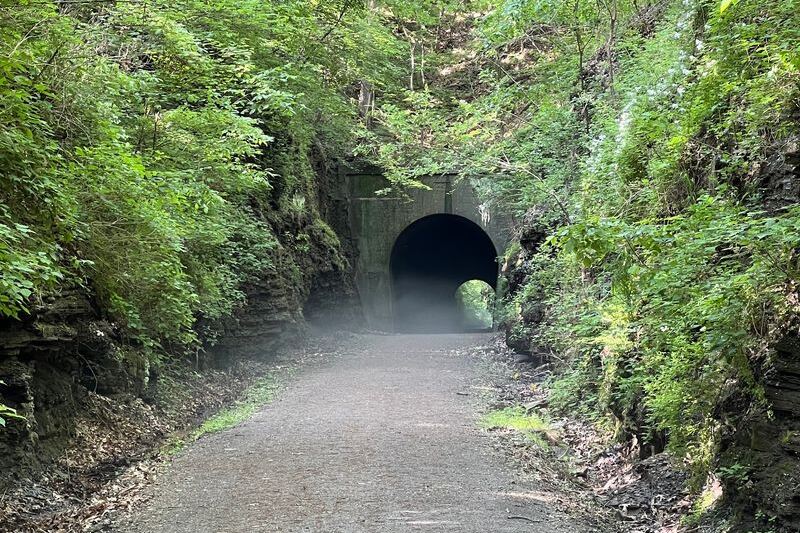 This Old Illinois Railroad Is Now A Trail Through A Cool Tunnel, Forested Hills, And Wetlands