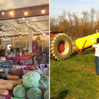 This Pennsylvania Family Farm Has 3 Acres of Flowers, Farm Animals, and a Pumpkin Cannon