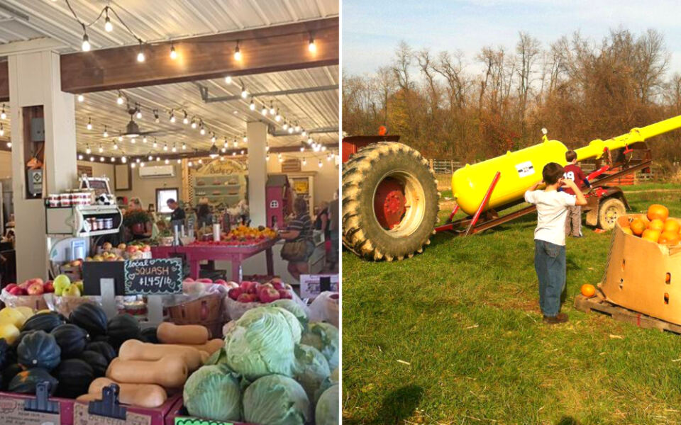 This Pennsylvania Family Farm Has 3 Acres of Flowers, Farm Animals, and a Pumpkin Cannon