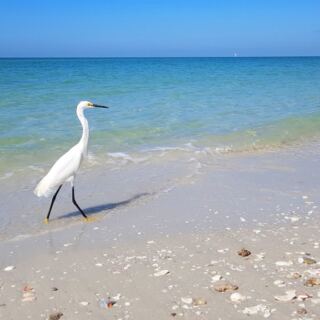 13 Beaches Where the Seashells Are Worth the Trip