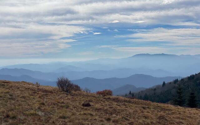 Pitch a Tent at These 8 Tennessee Campgrounds and You’ll Swear You Have the Woods to Yourself