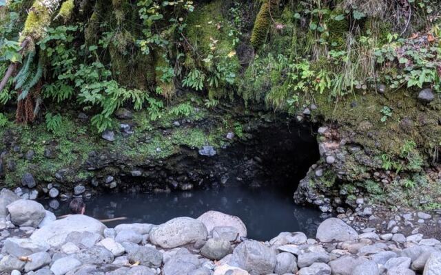 Six Oregon Hot Springs Where You Can Soak in Wild Steaming Water for Free Without a Crowd