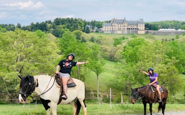 Biltmore’s Stables in Asheville, North Carolina, Offer Trail and Carriage Rides With Rare Estate Views