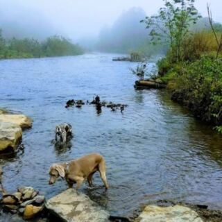 This Pennsylvania Hidden Gem Has Wheelchair-Friendly Fishing Access and Peaceful Creekside Trails