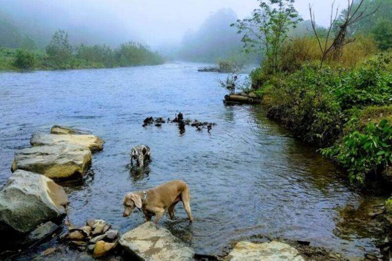 This Pennsylvania Hidden Gem Has Wheelchair-Friendly Fishing Access and Peaceful Creekside Trails