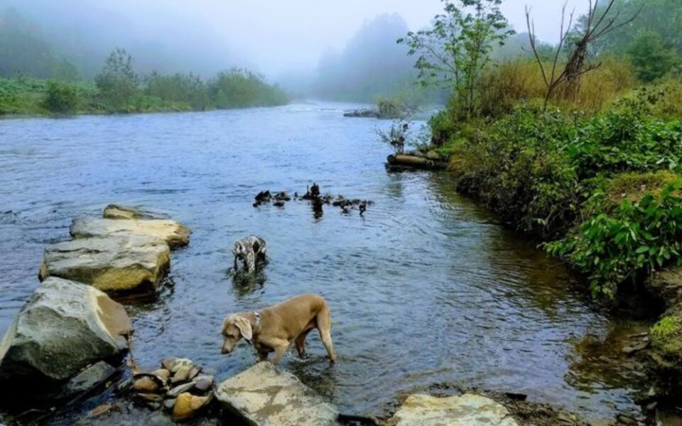 This Pennsylvania Hidden Gem Has Wheelchair-Friendly Fishing Access and Peaceful Creekside Trails