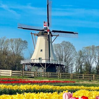 Next Spring, This New Jersey Farm Lets You Build A Tulip Bouquet Row By Row