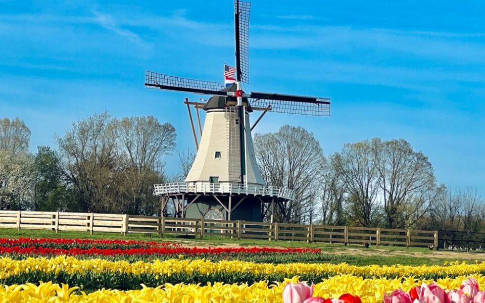Next Spring, This New Jersey Farm Lets You Build A Tulip Bouquet Row By Row