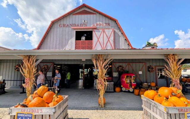 7 North Carolina Orchards Where the Apple Cider Slushies Are Worth the Drive Alone