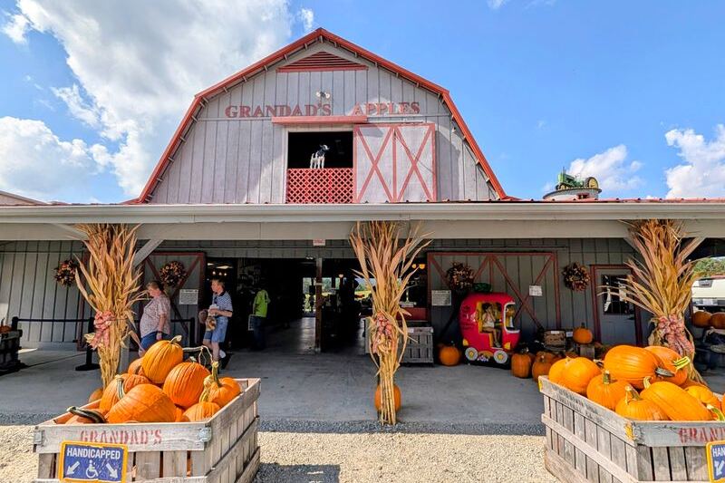 7 North Carolina Orchards Where the Apple Cider Slushies Are Worth the Drive Alone