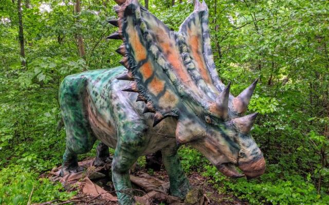 These 13 Tennessee Attractions Are So Wonderfully Weird You Have to See Them Yourself