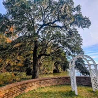 Sample Hot Sauces Straight From the Tasting Bar at Lowcountry Pepper Farms in South Carolina? No – Try Mepkin Abbey’s Mushroom Stand Near Moncks Corner